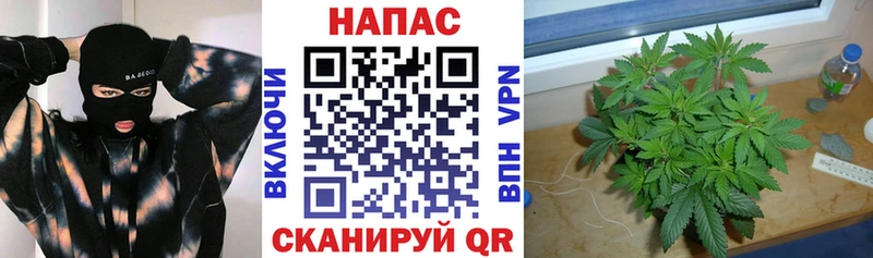 Конопля MAZAR blacksprut вход Юрга